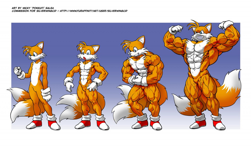 abs antenna_hair anthro biceps big_muscles bipedal blue_background blue_eyes bodybuilder brown_fur canine digital_media_(art) dipstick_tail fangs flexing footwear fox front_view frown full-length_portrait fur gloves grin male mammal miles_prower multiple_poses multiple_tails muscle_growth muscles nude pecs plain_background pokkuti pose sad sega shoes smile solo sonic_(series) standing sweat teeth three-quarter_view toned transformation vein white_background white_countershading white_fur