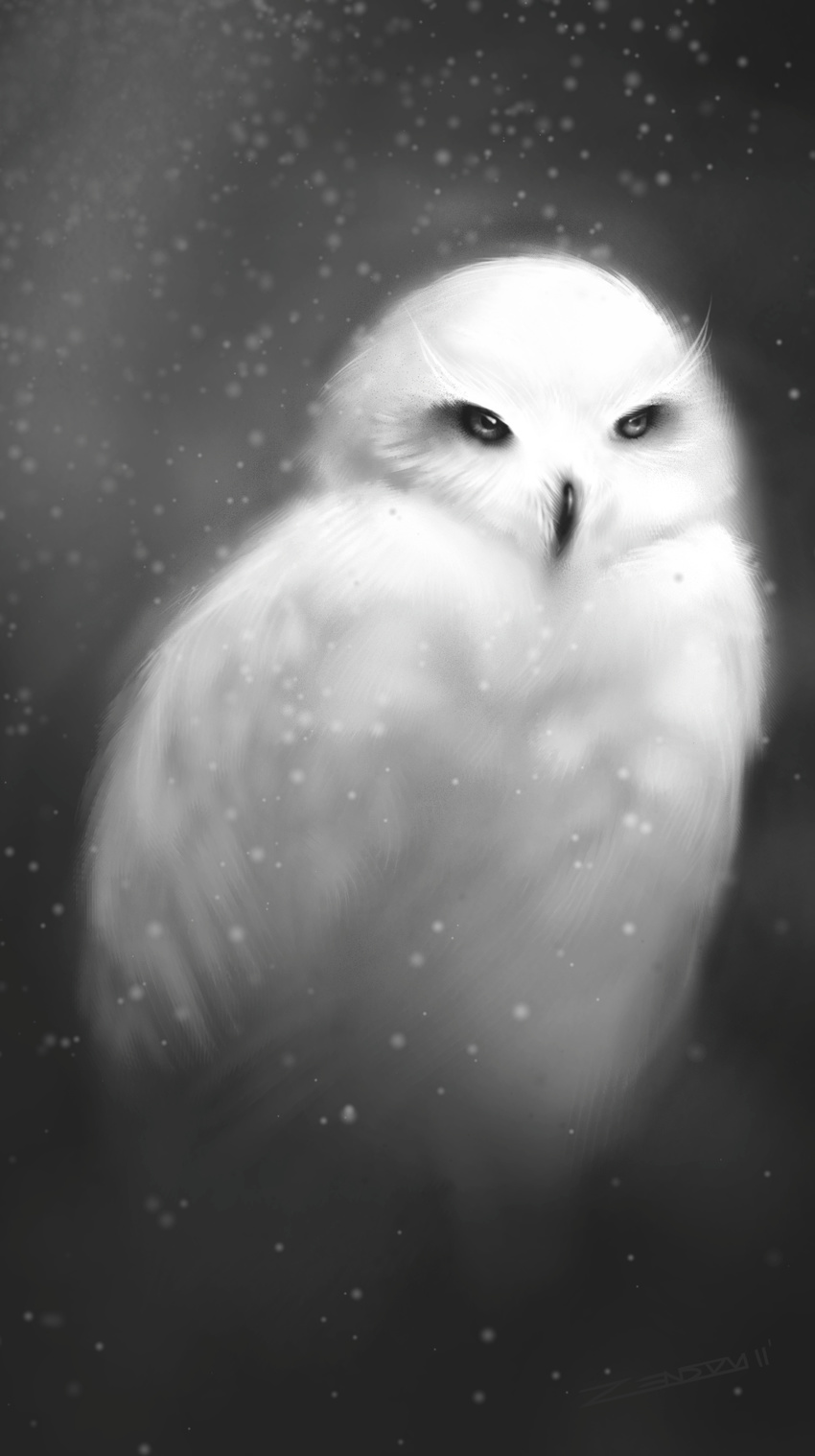 amazing ambiguous_gender avian beak detailed feral monochrome owl painting solo zensou