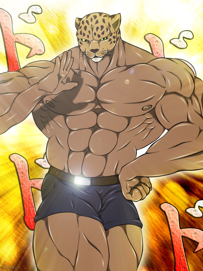 abs biceps big_muscles feline guin guin_saga kion leopard looking_at_viewer male mask muscles nipples pecs solo topless