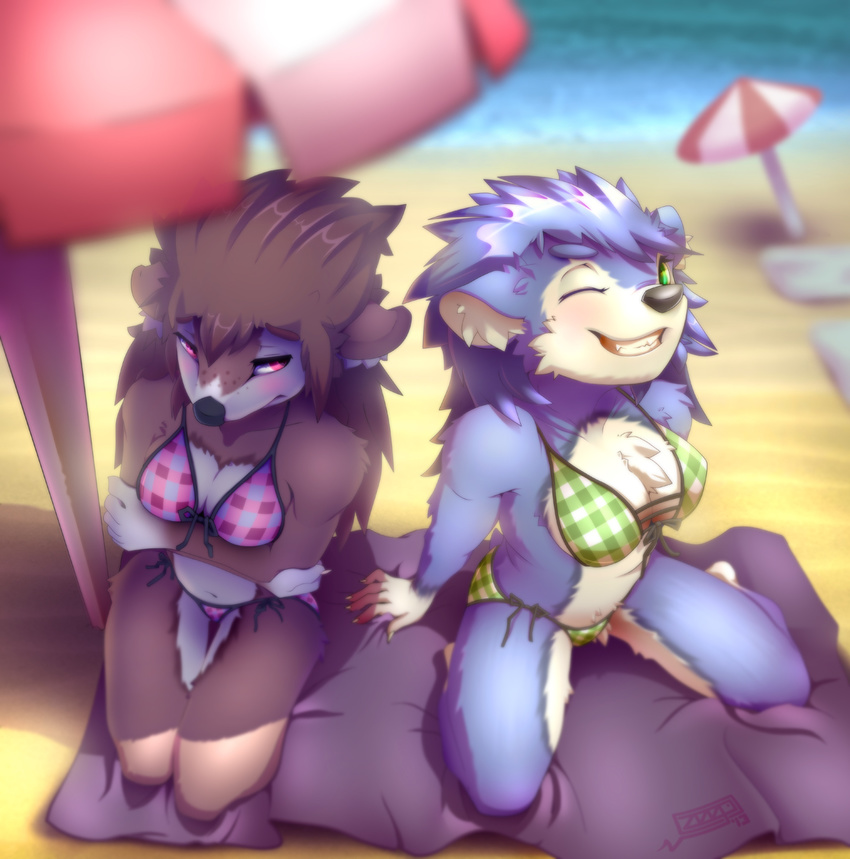 anthro beach bikini blush breasts clothed clothing cute duo female freckles hedgehog kneeling looking_at_viewer mabel_able mammal nintendo one_eye_closed sable_able seaside shy sibling sisters skimpy smile swimsuit tight_clothing video_games z00p