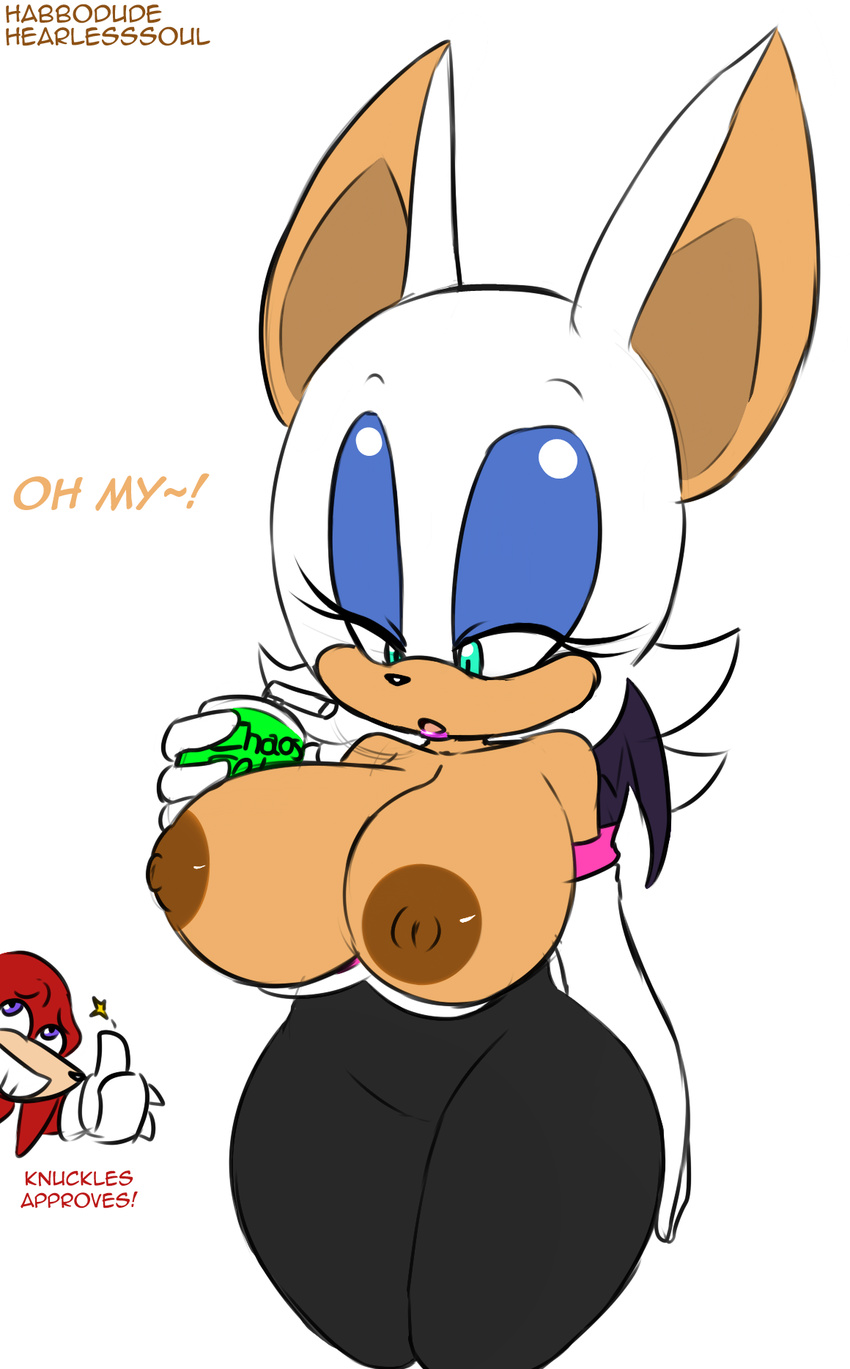 breasts cola female habbodude hearlesssoul knuckles_the_echidna nipples rouge_the_bat sega sonic_(series)