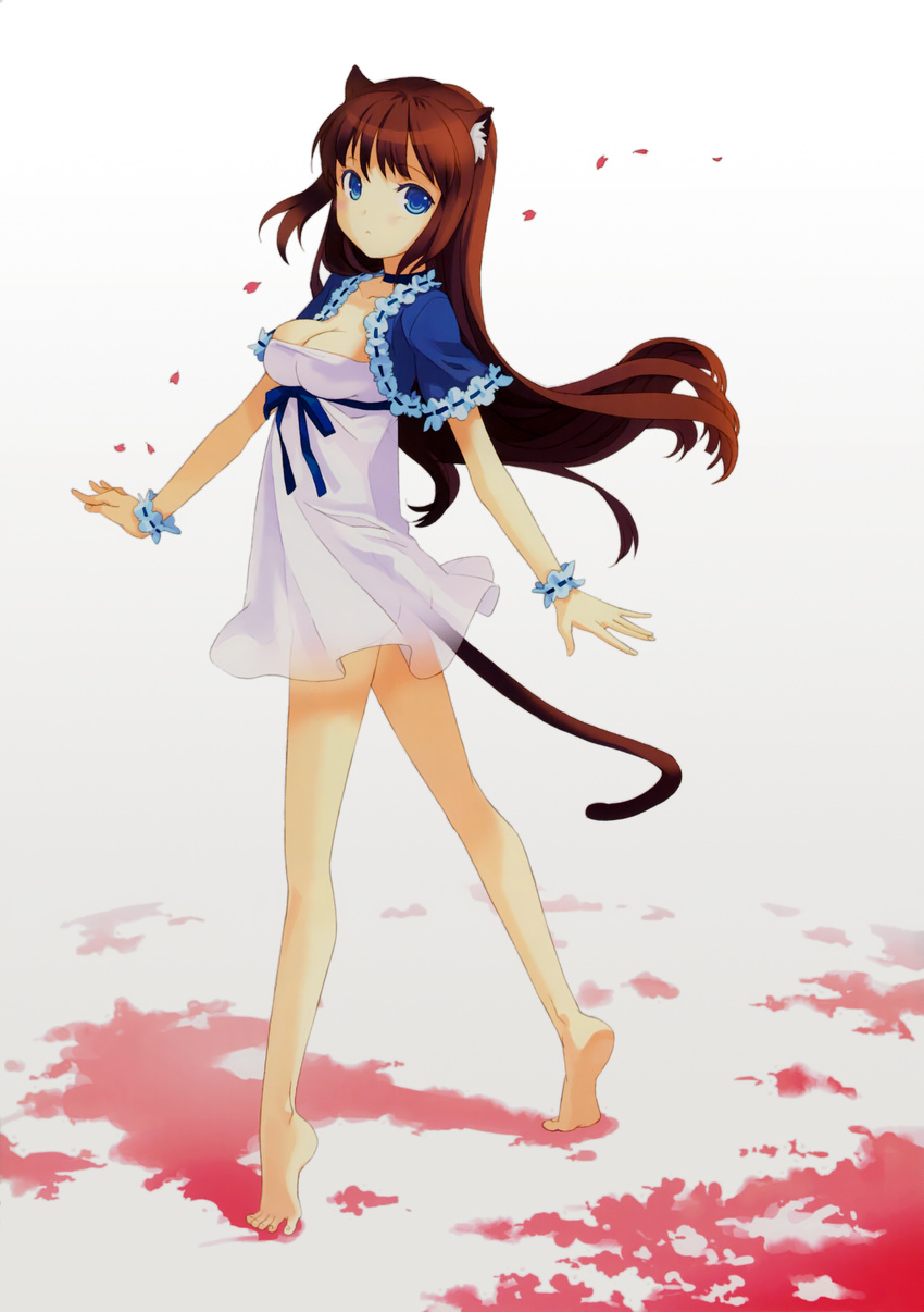 animal_ears ass barefoot blue_eyes breasts brown_hair cat_ears cat_tail choker cleavage cropped_jacket dress feet full_body h2so4 highres long_hair medium_breasts original petals scan see-through_silhouette solo tail twisted_torso walking white_dress