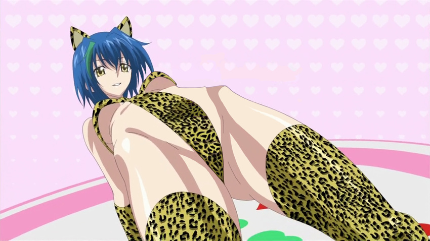 animal_ears blue_hair breasts cat_ears cat_tail high_school_dxd large_breasts legs leopard_print tail xenovia_(high_school_dxd)