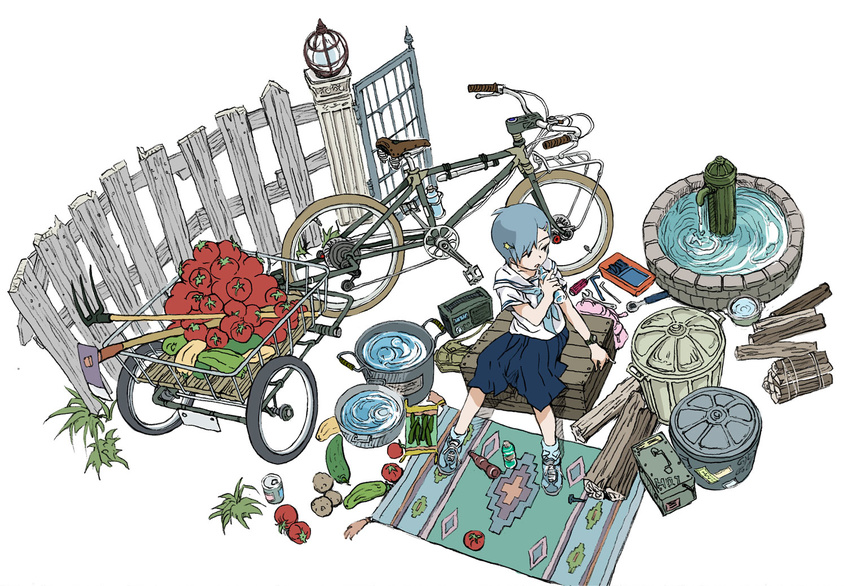 ankle_socks aoi_zero bicycle blue_hair box bucket can drinking fence from_above gate grass ground_vehicle hair_ornament hoe lamppost looking_away original potato radio rug school_uniform screwdriver serafuku shoes short_hair sitting sneakers soda_can solo squash tomato toolbox tools trash_can watch water well wood wrench