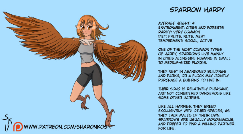 2017 animal_humanoid avian avian_humanoid beige_skin biped blue_background breasts brown_eyes brown_feathers brown_hair chest_tuft clothing english_text eyebrows eyelashes feathered_wings feathers female hair harpy humanoid looking_at_viewer model_sheet navel patreon pointy_ears sharonkos shirt shorts simple_background smile solo talons tank_top text tight_clothing tuft winged_arms winged_humanoid wings