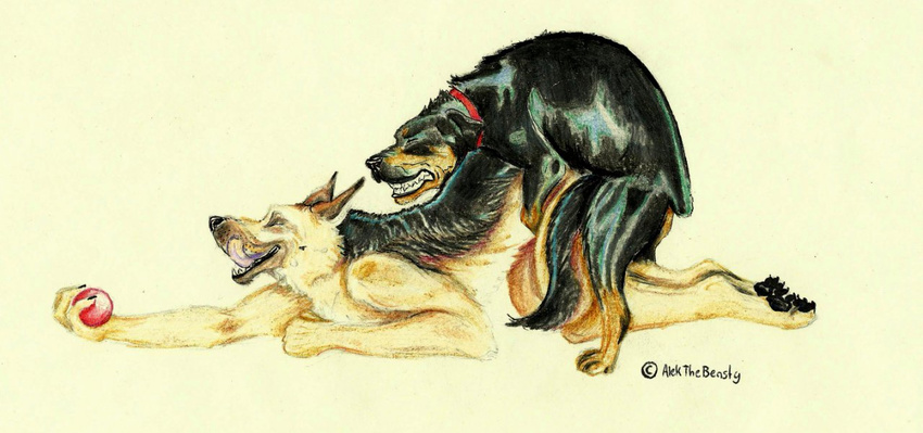 alekthebeasty anthro anthro_on_feral ball bestiality canine couple dog eyes_closed feral gay german_shepherd interspecies male mammal sex tongue tongue_out