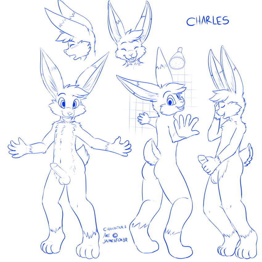 anthro balls blush butt charles cute erection fur hair jamesfoxbr lagomorph lapine looking_at_viewer male mammal monochrome nude open_mouth penis plain_background presenting rabbit shower smile solo standing teeth young