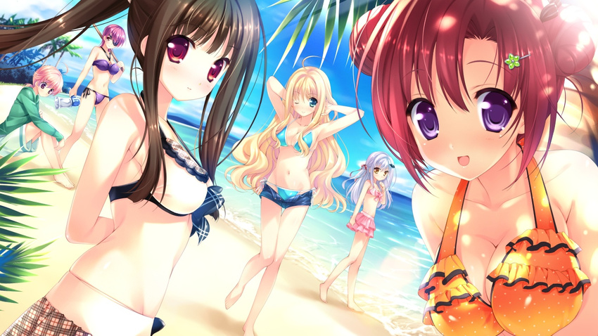 beach bikini blonde_hair blue_eyes breasts brown_hair chris_crawford cleavage eyepatch game_cg hoshi_no_ne_sanctuary hyoudou_hibiki katsuragi_ria komatsubara_yomi long_hair marmalade naruse_hirofumi orange_eyes purple_eyes purple_hair red_eyes red_hair serina_malgrid_octavius shinryouji_hisui short_hair swimsuit white_hair wink