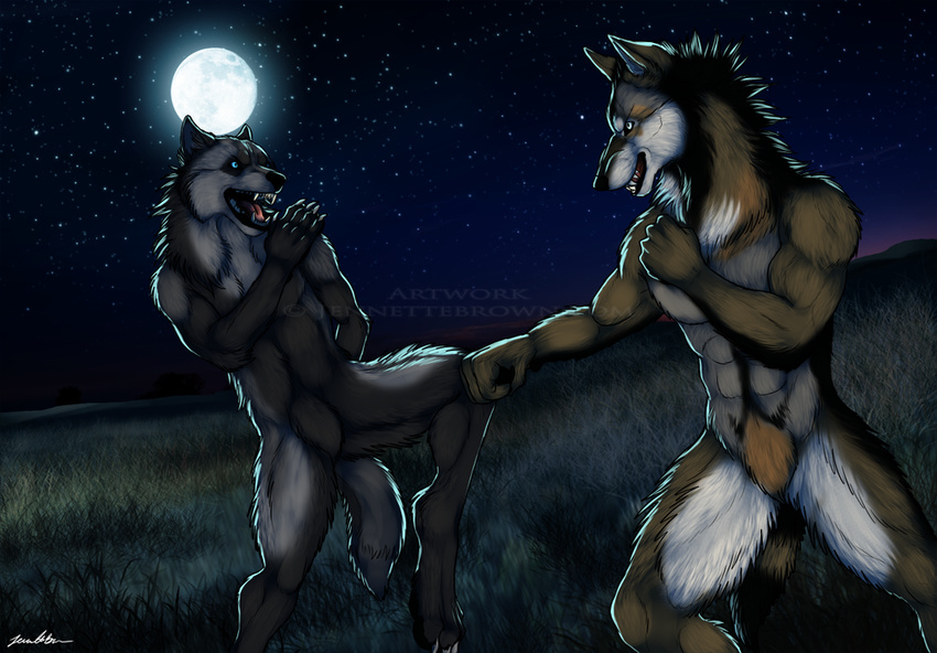 =sugarpoultry anthro black_fur blue_eyes canine claws fight fox fur grass grey_fur male moon night nude open_mouth outside stars teeth watermark wolf