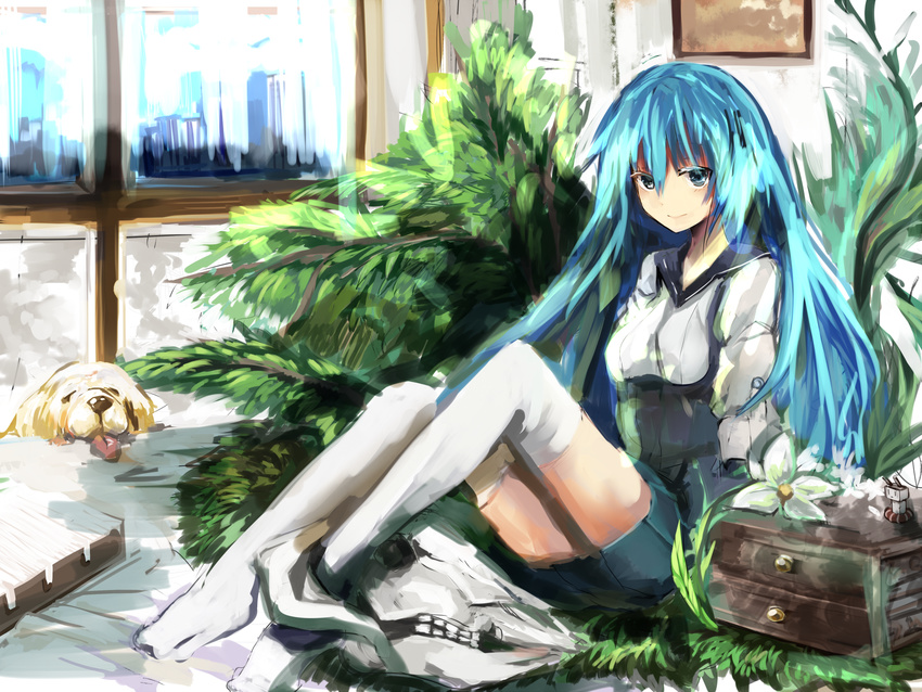 animal bad_id bad_pixiv_id blue_eyes blue_hair box building cityscape dog drawer flower haik highres indoors kantai_collection lifebuoy long_hair original parody plant potted_plant rensouhou-chan silhouette sitting sketch skull smile solo thighhighs very_long_hair white_legwear window zettai_ryouiki