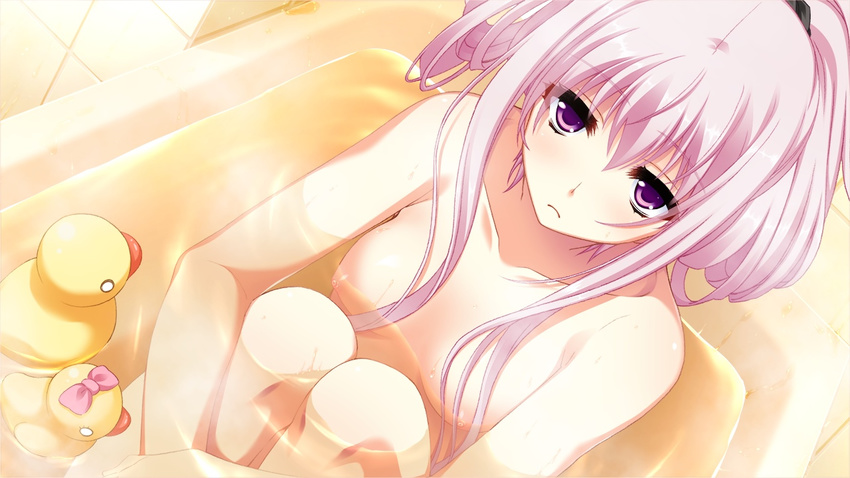 1girl bath game_cg miyamori_korone narumi_suzune pink_hair purple_hair small_breasts tojita_sekai_no_tori_colony