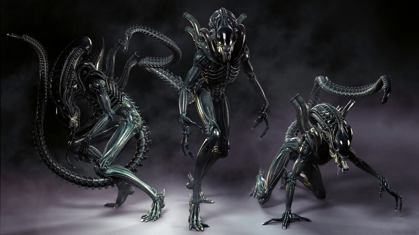 alien alien_(franchise) all_fours raised_tail wallpaper xenomorph