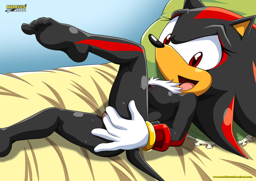 bbmbbf bed breasts crossgender exposed eye_lash female fingering gloves hedgehog human_feet invalid_tag looking_at_viewer lying mammal masturbation mobius_unleashed nipples on_back palcomix plantigrade sega sex shadow_the_hedgehog soles solo sonic_(series) spread_legs spreading toes