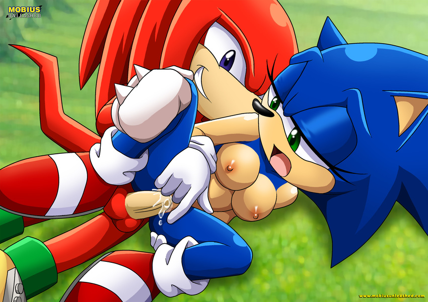 breasts crossgender cum cum_inside duo echidna exposed eye_lash female hedgehog invalid_tag knuckles_the_echidna male mammal mobius_unleashed palcomix penetration sega sex shoes sonic_(series) sonic_the_hedgehog straight straight_sex vaginal vaginal_penetration