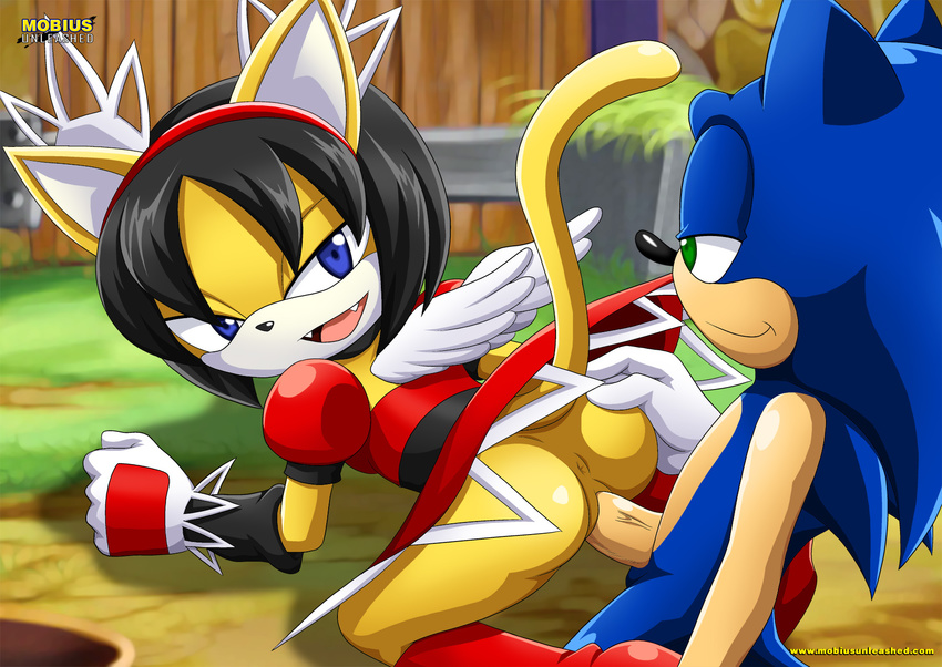 anthro bbmbbf cat clothed clothing doggystyle duo feline female fighting_vipers from_behind gloves half-closed_eyes hedgehog hi_res honey_the_cat male mammal mobius_unleashed palcomix penetration sega sex sonic_(series) sonic_the_hedgehog straight wings
