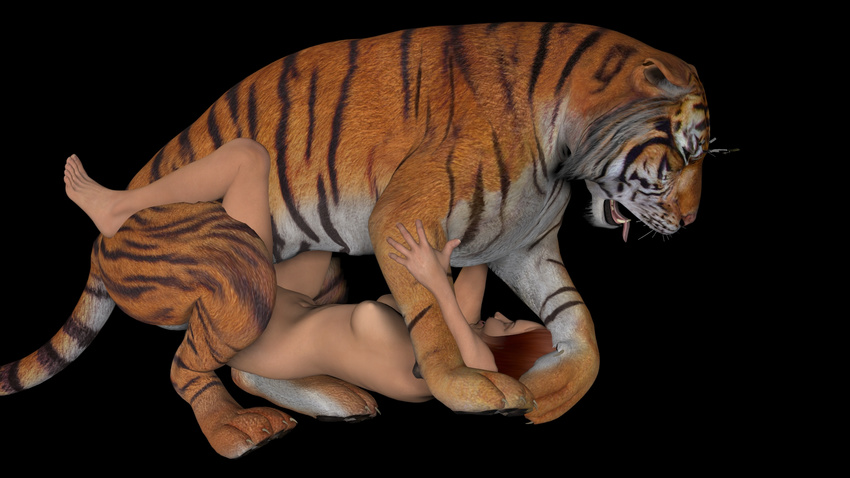 bestiality feline female feral human human_on_feral interspecies male mammal sex straight tiger unknown_artist
