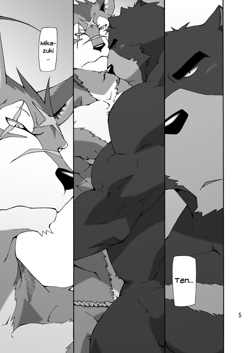 anthro bear biceps big_muscles black_eyes black_nose canine comic dialog english_text facial_markings fur grey_fur hair honey_x_scars juuichi juuichi_mikazuki looking_back male mammal markings morenatsu muscles nipples pecs scar ten_kodori text toratora wolf