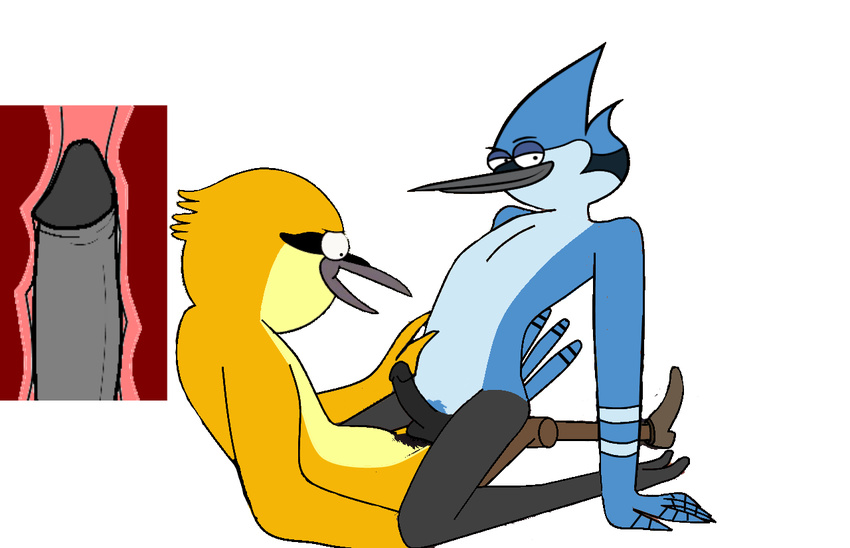 anal_penetration anthro anthro_on_anthro avian balls beak bird black_penis blue_jay cowgirl_position erection feathers gay hair internal interspecies john_(regular_show) lifeseeker looking_at_viewer male mordecai on_top open_mouth oriole penetration penis plain_background prosthetic_leg regular_show sex straddling toony wooden_leg