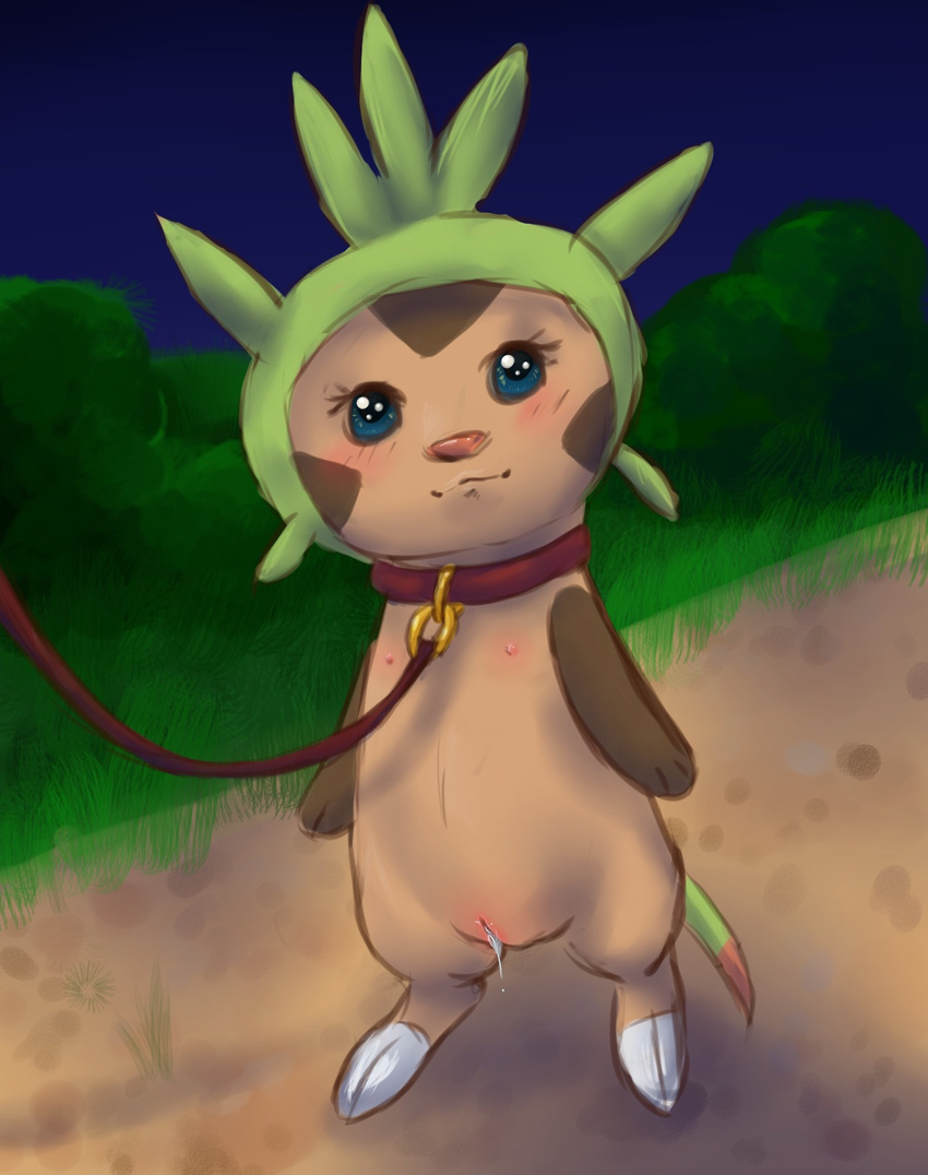 blue_eyes blush chespin collar female hi_res leash looking_at_viewer nintendo nipples pink_nipples pok&#233;mon pok&eacute;mon pussy pussy_juice solo video_games wet