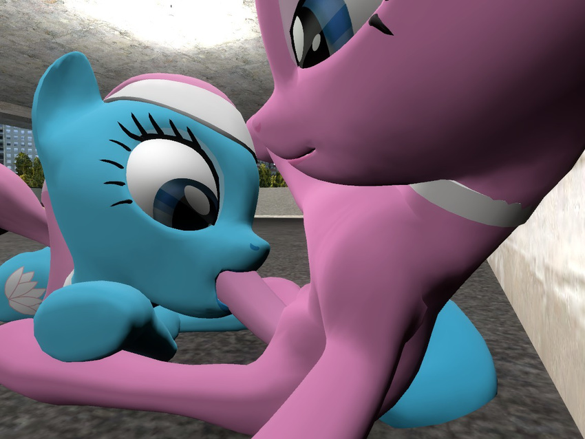 aloe_(mlp) dickgirl equine fellatio female friendship_is_magic hooves horse intersex lost_angel lotus_(mlp) my_little_pony oral oral_sex penis pony sex