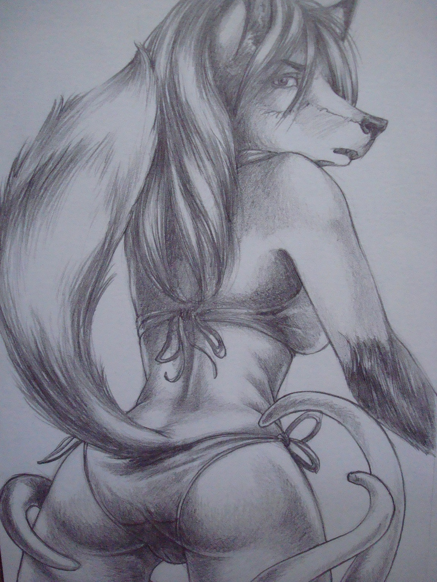 back_turned bikini bipedal black_markings butt canine dipstick_tail ears_up female forced fox fur greyscale hair half-length_portrait imminent_ imminent_rape long_hair looking_at_viewer looking_back mammal markings monochrome oh_no open_mouth pencil_(art) raised_tail rape side-tie_bikini sinistervibe socks_(marking) standing surprise_sex swimsuit tentacles traditional_media wary white_fur wide_hips