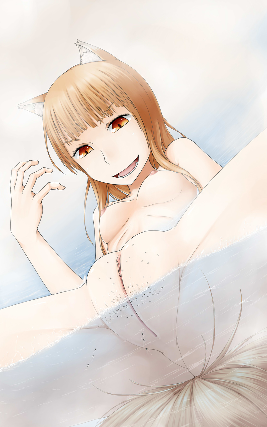 animal_ears breasts brown_hair giantess highres holo long_hair military_ships nipples nude pussy spice_and_wolf tail terada_ochiko uncensored wolf_ears wolf_tail