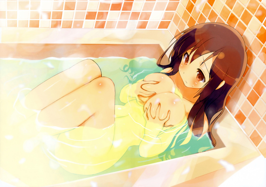 bath bathtub breast_grab brown_eyes brown_hair long_hair nude scan tagme water yaegashi_nan