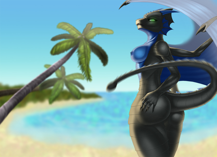 beach breasts butt dragon looking_at_viewer scalie seaside tagme
