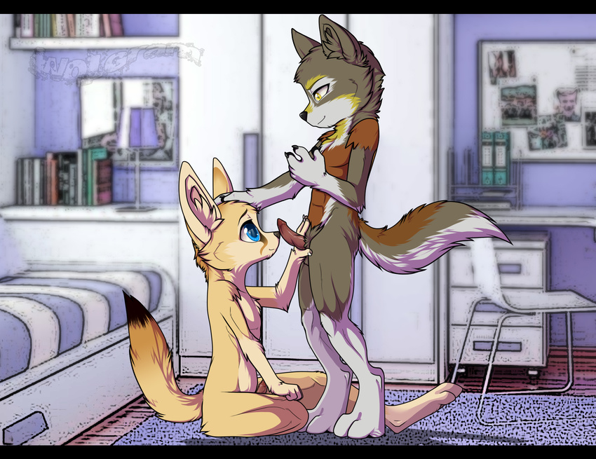 bed blue_eyes canine cub cute duo fennec folf fox gay graneth hybrid knot male mammal penis taag taag(character) wolf wolgram wolgram(artist) yellow_eyes young