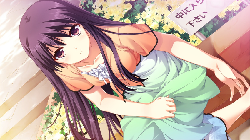 1girl arihara_nodoka blush dress game_cg narumi_suzune purple_eyes purple_hair solo tojita_sekai_no_tori_colony