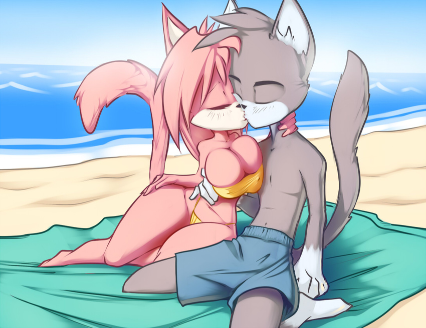 anthro beach big_breasts breasts cat cleavage clothed clothing eyes_closed feline female grey_hair hair kissing leo_(vg_cats) male mammal navel nipple_bumps pink_hair seaside swimsuit thefuckingdevil vg_cats wide_hips