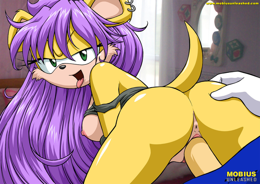 black_nose breasts butt butt_grab duo female first_person_view fur grab_ass green_eyes hair hedgehog high_definition long_hair looking_at_viewer male mammal mina_mongoose mobius mobius_unleashed mongoose on_top open_mouth panting penetration piercing purple_hair reverse_cowgirl_position sega sex side_boob sonic_(series) sonic_the_hedgehog tongue tongue_out vaginal vaginal_penetration yellow_fur