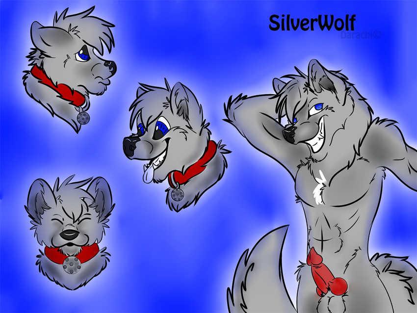 bed bell canine collar darachi expressions grin happy knot male mammal penis pinup pose silverwolf wolf