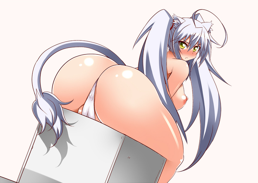 1girl ahoge alternate_hairstyle animal_ears ass bare_legs blush breasts cameltoe dog_days female from_behind gabayo huge_ass huge_breasts leonmitchelli_galette_des_rois lion_ears lion_tail long_hair long_twintails looking_back nipples panties silver_hair simple_background sitting solo tail twintails underwear white_panties yellow_eyes
