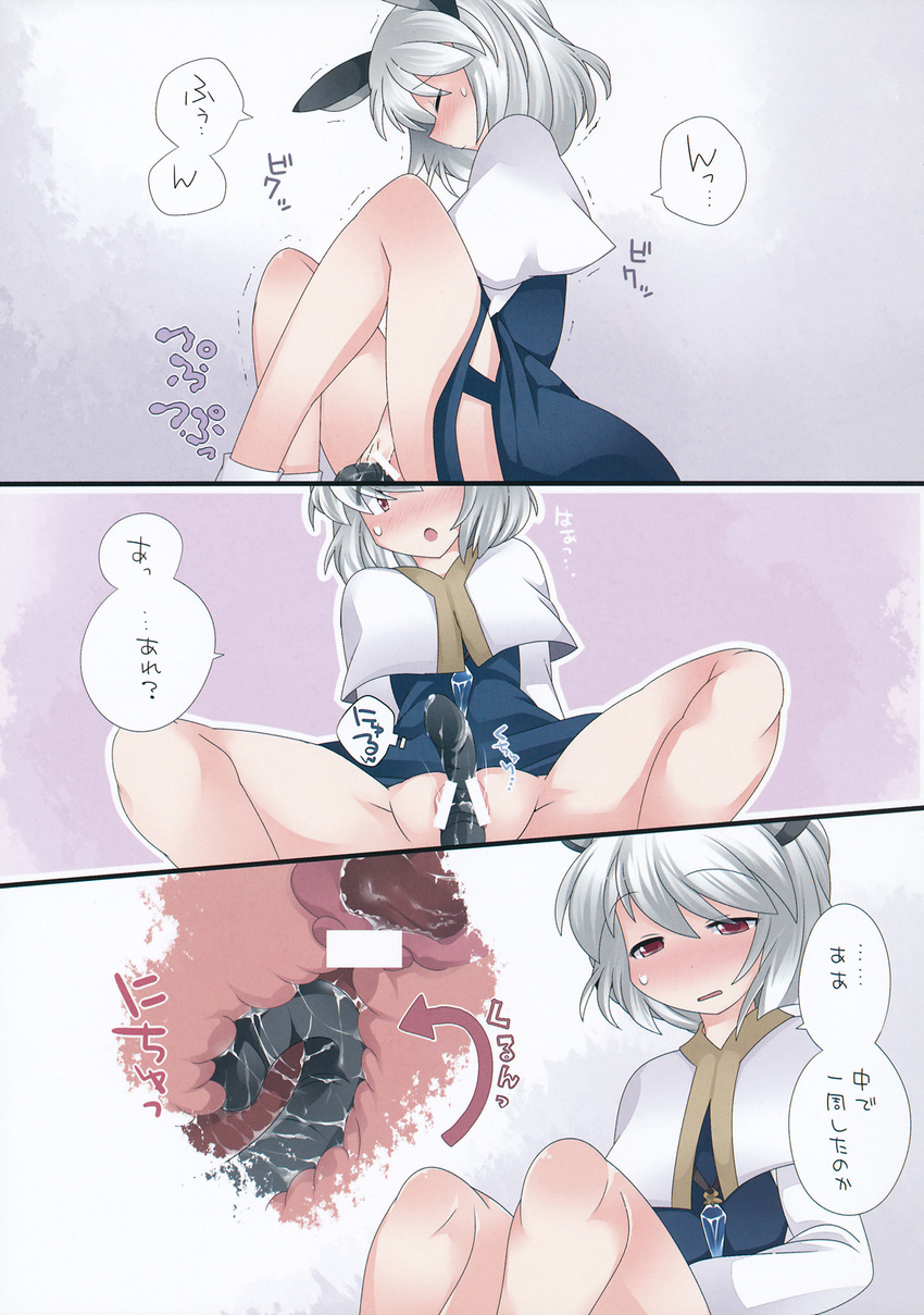 animal_ears blue_dress blush capelet censored comic dress hammer_(sunset_beach) highres jewelry masturbation mouse_ears mouse_tail nazrin object_insertion open_mouth pendant pussy red_eyes short_hair silver_hair solo spread_legs tail tail_insertion tail_masturbation touhou translated uterus vaginal vaginal_object_insertion x-ray