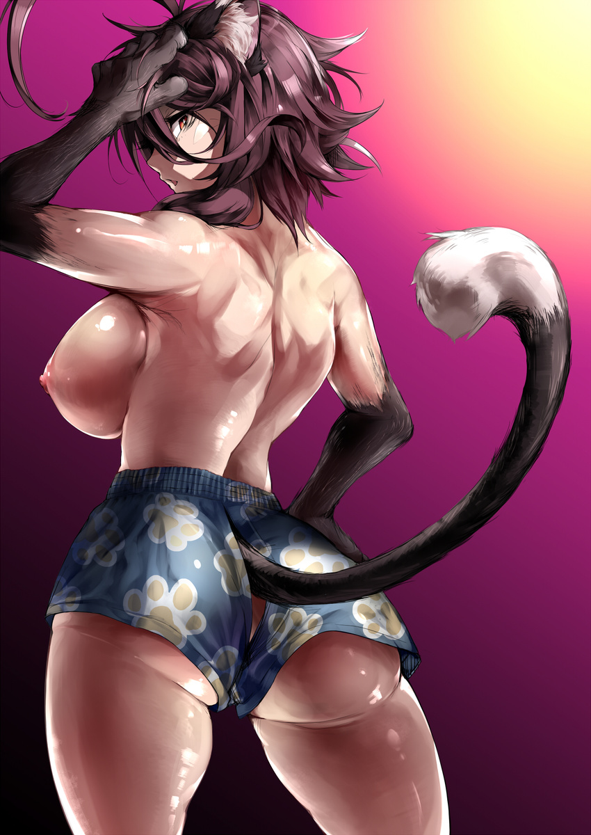 ahoge animal_ears ass boxers breasts brown_hair cat_ears cat_paws cat_tail gradient gradient_background highres huge_ahoge large_breasts looking_at_viewer looking_back nipples original paw_print paws red_eyes shiny shiny_skin short_hair shorts solo tail thighs underwear yagatake_arashi yana_(nekoarashi)