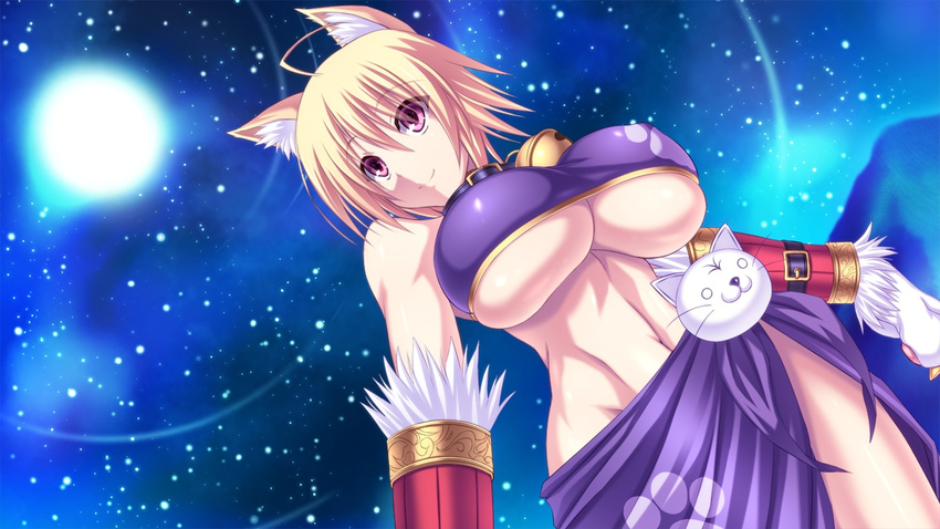 animal_ears artist_request blonde_hair breasts character_request dutch_angle fox_ears genpakuko huge_breasts muscle nanakorobi_yaoki night purple_eyes sangoku_hime_3 sangoku_hime_3_-tenka_shinsei- source_request star under_boob underboob