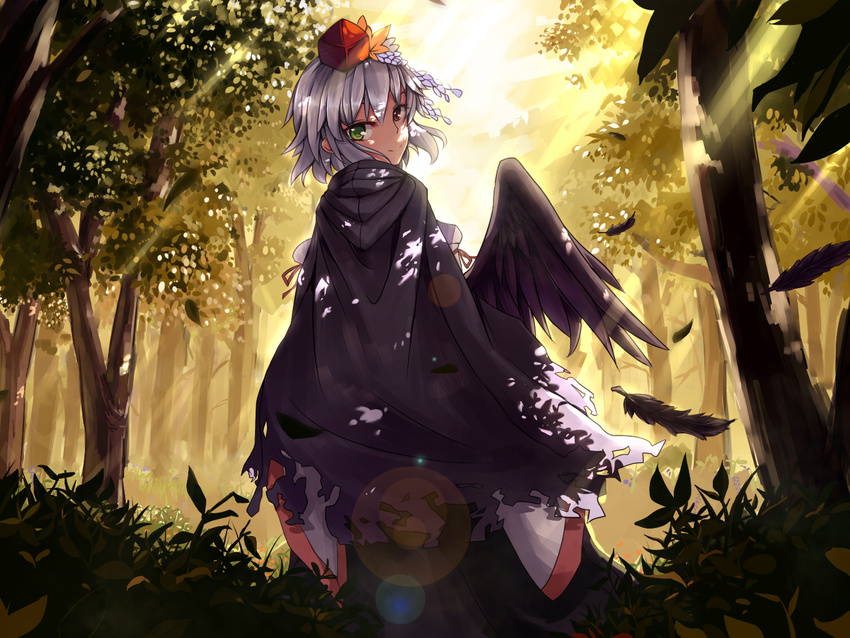 cloak dusk feathered_wings feathers forest hat heterochromia leaf lord_tenma nature original starsyi tokin_hat torn_clothes touhou white_hair wings