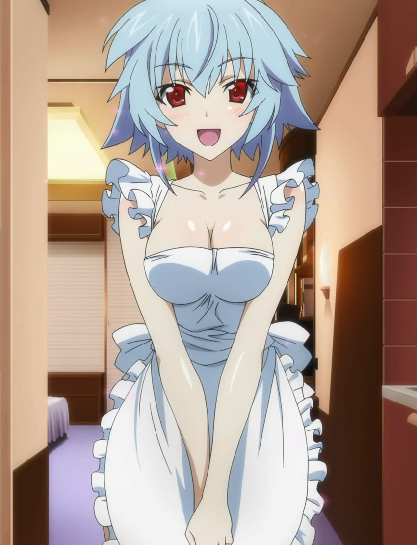 absurdres apron aqua_hair breasts cleavage highres infinite_stratos red_eyes sarashiki_tatenashi screencap short_hair solo sparkle