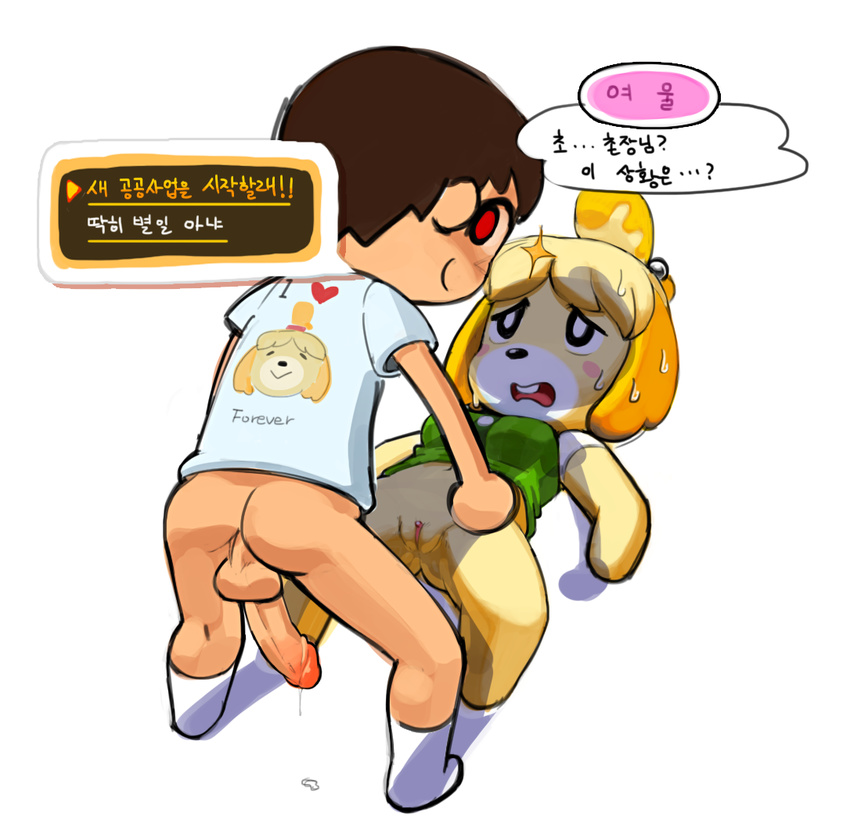 &lt;3 animal_crossing balls bottomless brown_hair canine clothing dialog dog duo erection female hair human humanoid_penis isabelle_(animal_crossing) jaeyun213 korean_text lying male mammal nintendo on_back penis plain_background precum pussy red_eyes retracted_foreskin spread_legs spreading straight sweat text translation_request uncut video_games villager_(animal_crossing) white_background