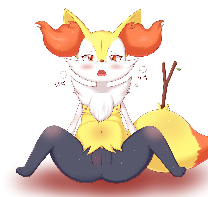 anus barefoot braixen breasts brown_nose butt canine female fennec fox fur hi_res korean_text leaf looking_at_viewer mammal navel nintendo nipples nude open_mouth orange_eyes orange_fur plain_background pok&#233;mon pok&eacute;mon presenting presenting_hindquarters presenting_pussy pussy shadow shiny sitting solo spread_legs spreading stick sweat text tongue unknown_artist video_games wand white_background white_eyes white_fur wood yellow_fur