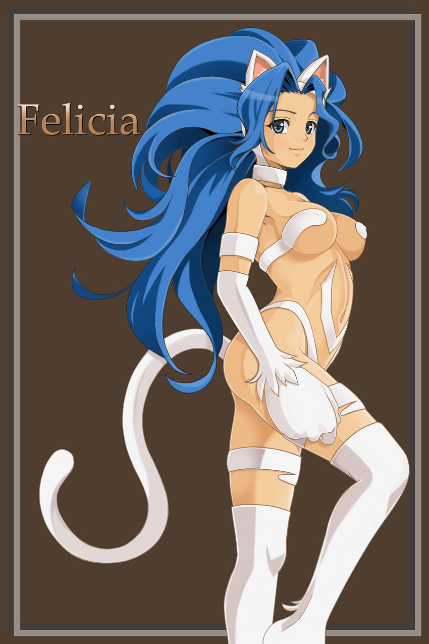 animal_ears ass bad_id bad_pixiv_id basuchian big_hair blue_eyes blue_hair breasts brown_background cat_ears cat_tail character_name claws felicia fur hairband highres large_breasts light_smile long_hair looking_at_viewer navel paws solo standing tail thighhighs vampire_(game)