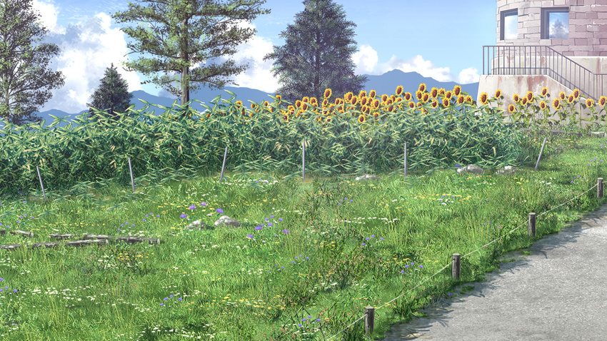 flowers game_cg grass natsuzora_no_perseus sunflower