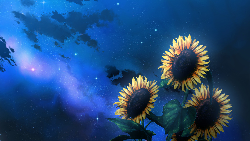 flowers game_cg natsuzora_no_perseus night sky stars sunflower