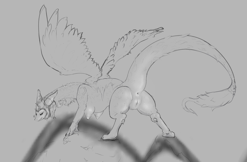 dragon feather female feral gorima pussy sketch wings