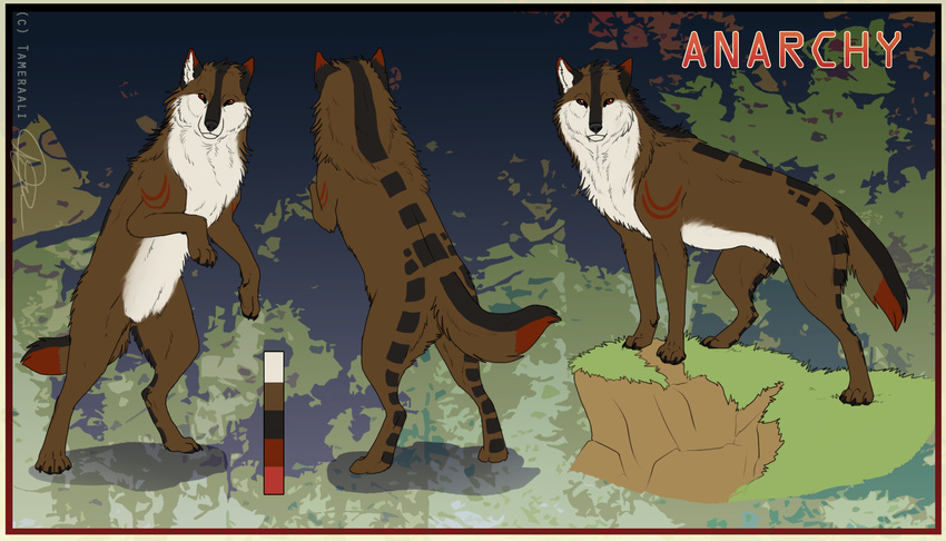 all_fours anarchyzeroes anthro black_nose canine claws color_swatch feral looking_at_viewer mammal model_sheet solo standing tameraali toe_claws wolf