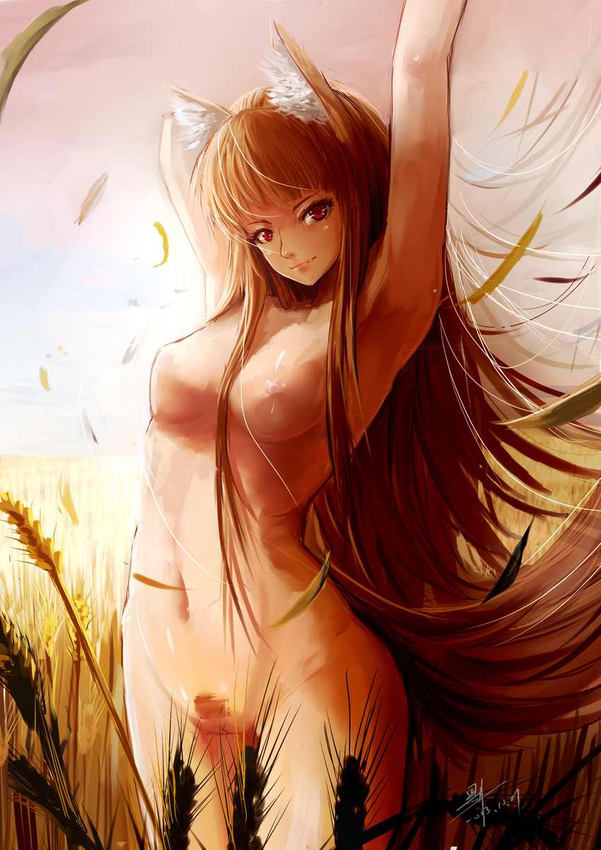 absurdres animal_ears arms_up bbkid blush breasts brown_hair fang highres holo long_hair medium_breasts navel nude pubic_hair pussy red_eyes solo spice_and_wolf tail wheat wheat_field wolf_ears wolf_tail