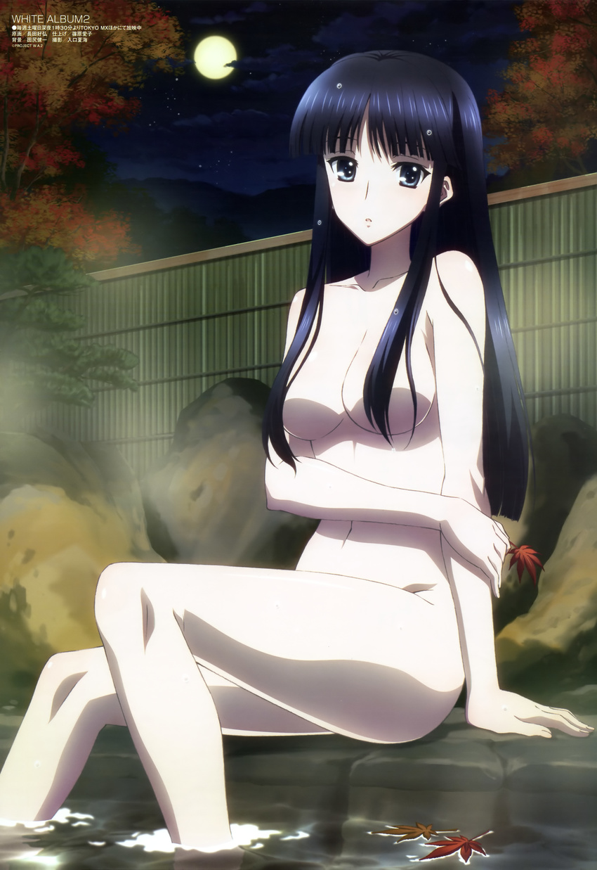 :o absurdres autumn bamboo_fence bangs black_hair blue_eyes blunt_bangs breasts censored cloud convenient_censoring fence from_side full_moon hair_censor hair_over_breasts highres holding holding_arm leaf legs long_hair long_legs looking_at_viewer medium_breasts megami moon mountain nagata_yoshihiro navel night night_sky non-web_source nude official_art onsen open_mouth outdoors pale_skin parted_bangs rock scan sidelocks sitting sky soaking_feet solo star_(sky) starry_sky steam touma_kazusa tree very_long_hair water wet wet_hair white_album_2