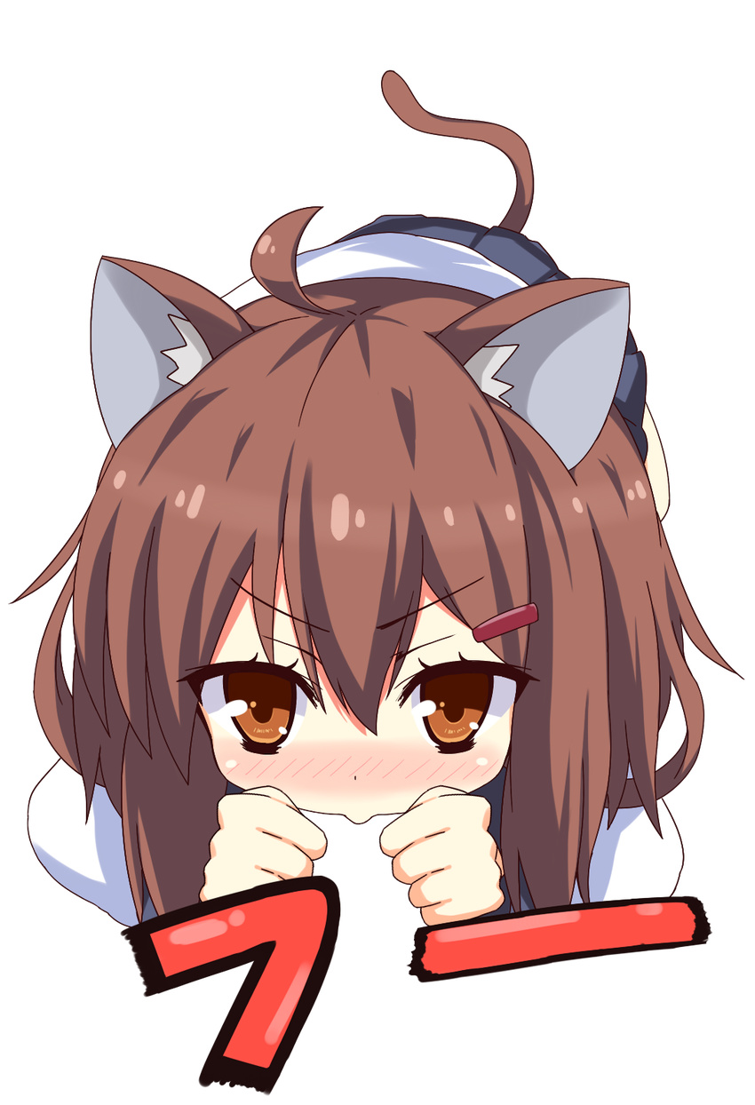 :&gt; ahoge animal_ears bad_id bad_pixiv_id blush brown_eyes brown_hair cat_ears cat_tail close-up hair_ornament hairclip highres hiss ikazuchi_(kantai_collection) kantai_collection kemonomimi_mode looking_at_viewer pleated_skirt school_uniform serafuku short_hair skirt solo tail yunotimo