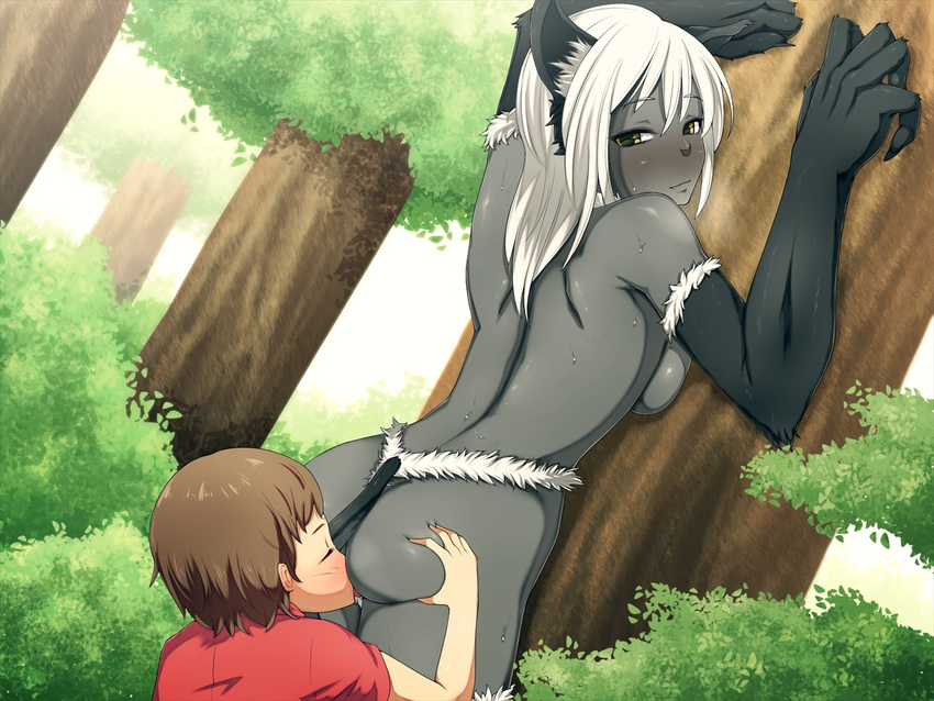 animal_ears anthro breasts cat_ears catgirl cunnilingus drow elf female hair hatsuen_kikan human human_on_anthro interspecies male mammal nude oral oral_sex sex straight sweat vaginal white_hair yellow_eyes young